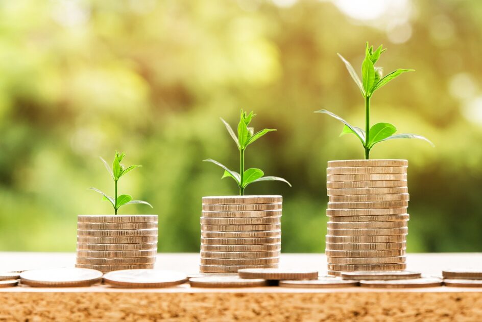 What does a successful fundraising program look like?